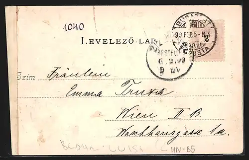 AK Budapest, Hauptstädtische Redoute