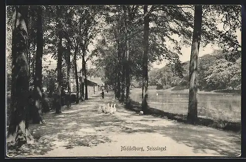 AK Middelburg, Seissingel