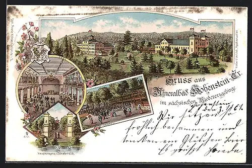 Lithographie Hohenstein-Ernstthal, Parkanlage mit Garten, Haupteingang und Schwanenteich