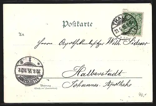 Vorläufer-Lithographie Thale /Harz, 1895, Hotel Ritter Bodo mit Garten und Gästen aus der Vogelschau, Schwalben