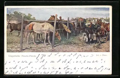 Künstler-AK Brüder Kohn (B.K.W.I) Nr. 1266: Ungarische Puszta-Pferde auf einer Koppel