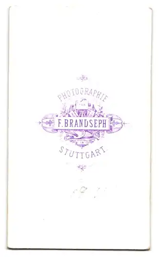 Fotografie F. Brandseph, Stuttgart, Herr im Anzug mit Fliege und Vollbart