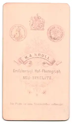 Fotografie H. A. Krull, Neu-Strelitz, junge Dame im dunklen Kleid mit Brosche und hochgesteckten Haaren