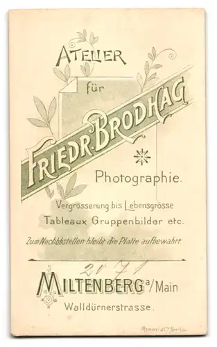 Fotografie Friedrich Brodhag, Miltenberg a. Main, Walldürnerstrasse, Junge Dame mit zurückgebundenem Haar