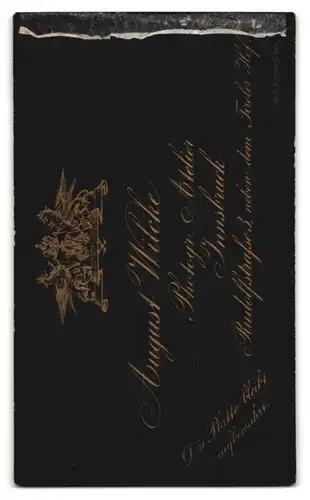 Fotografie August Wilcke, Innsbruck, Rudolfstr. 3, Junge Dame mit Hochsteckfrisur