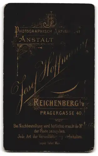 Fotografie Josef Hoffmann, Reichenberg i. B., Pragergasse 40, Junger Mann im Anzug mit Fliege