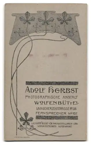 Fotografie Adolf Herbst, Wolfenbüttel, Langeherzogstr. 38, Attraktives junges Mädchen mit aufwendiger Frisur