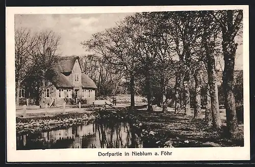 AK Nieblum a. Föhr, Dorfpartie am See