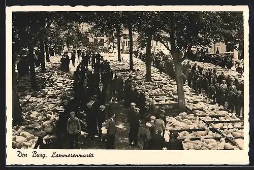 AK Den Burg, Lammerenmarkt