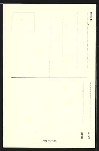 AK Zandvoort, Watertoren