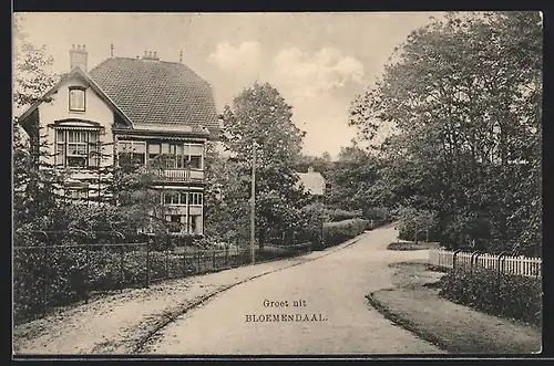 AK Bloemendaal, Strassenpartie mit Bürgerhaus