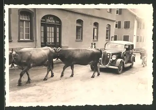 Fotografie Auto, schwarze Limousine im Kuhtrieb vor einem Cafe