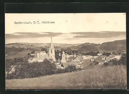 AK Sarleinsbach i. Mühlkreis, Blick von der Bergwiese auf den Ort