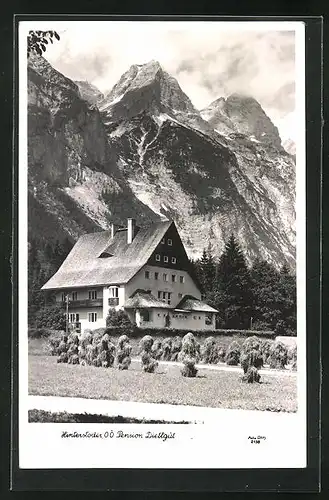 AK Hinterstoder, Blick auf die Pension Diettgüt gegen die Alpen