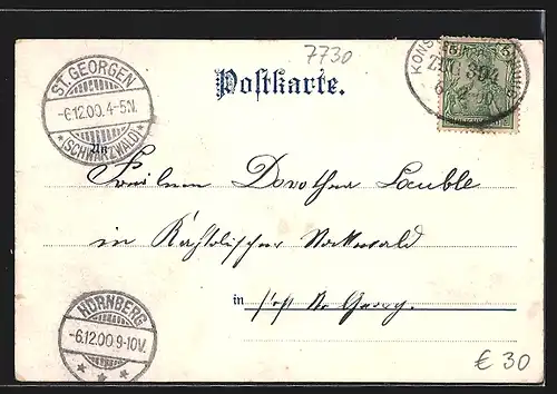 Lithographie Villingen, Münster, Altes Rathaus, Bickenstrasse, Schwanenteich, Springbrunnen