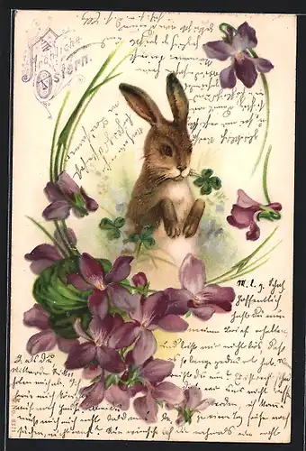 AK Osterhase mit Glückskleeblatt im Maul
