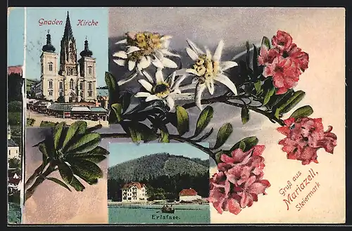 AK Mariazell, Gnaden-Kirche, Erlafsee, Edelweiss