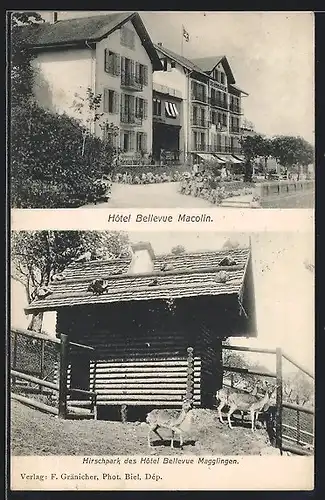 AK Magglingen, Hotel Bellevue Macolin mit Garten, Hirschpark des Hotels
