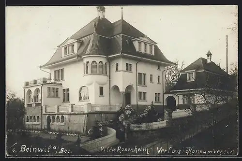 AK Beinwil a. See, Villa Rosenheim