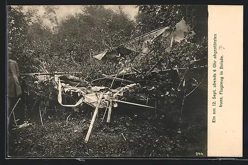AK Boisde, Abgestürztes französisches Flugzeug