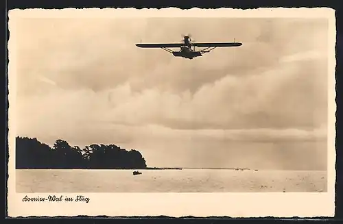 AK Dornier-Wal im Flug, Wasserflugzeug