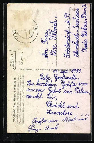 AK Rheinbach b. Bonn, Blick auf das Waldhotel