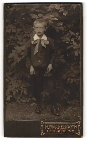 Fotografie H. Mackenroth, Osterode a. H., Kleiner Junge mit Zierschleife in einem Garten
