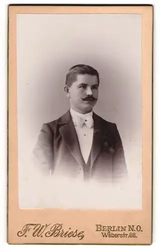 Fotografie F. W. Briese, Berlin, Weberstr. 66, Bürgerlicher Mann im dunklen Anzug mit weisser Fliege und Schnurrbart