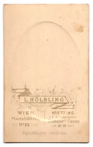 Fotografie L. Höbling, Wien, Mariahilferstr. 25, Bürgerliche ernste Dame im Kleid mit Haarnetz und Brosche