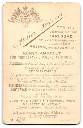 Fotografie Atelier Pietzner, Teplitz, Lindenstr., Dame in dunklem Kleid mit schwarzen Perlen und Silberschmuck