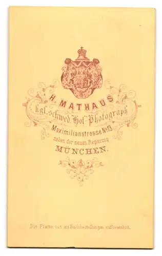 Fotografie H. Mathaus, München, Maximilianstr. 13, Bürgerliche Dame im grauen Kleid mit breitem Halsband und Brosche