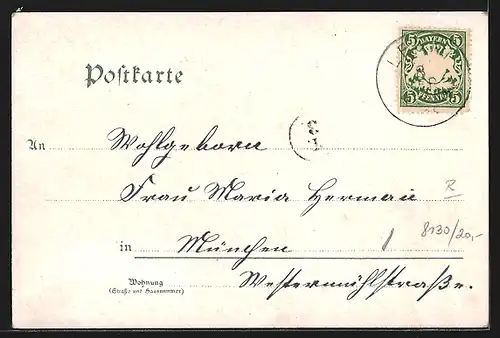 AK Leoni, Dampfer vor Ort