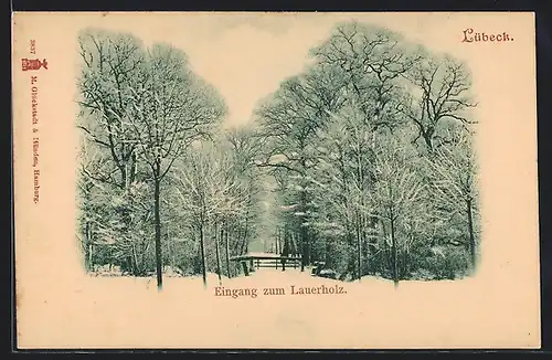 AK Lübeck, Eingang zum Lauerholz mit Schnee