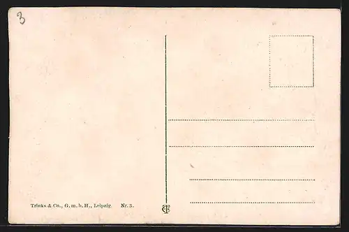 AK Crefeld, Blick in die Rheinstrasse