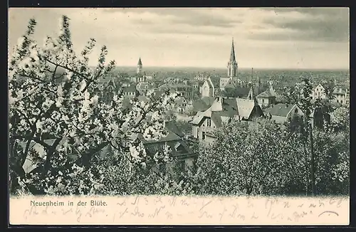 AK Neuenheim, Ort in der Blüte