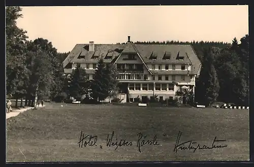 AK Hinterzarten, Hotel Weisses Rössle