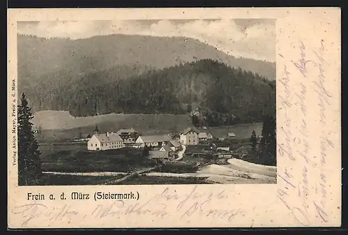 AK Frein a. d. Mürz, Ortspanorama