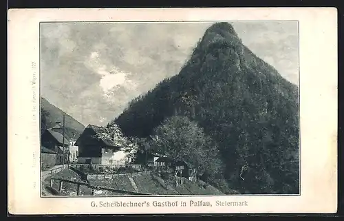 AK Palfau, G. Scheiblechners Gasthof zur Kaisergemse, Blick entlang der Zufahrt