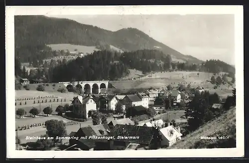 AK Steinhaus am Semmering, Teilansicht mit Pinkenkogel