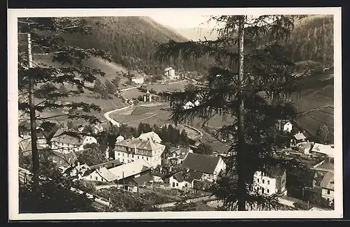 AK Steinhaus am Semmering, Teilansicht