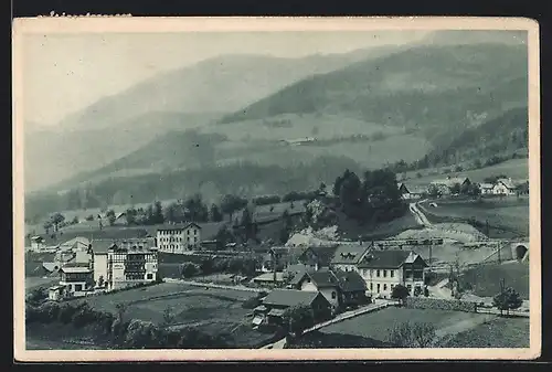 AK Steinhaus am Semmering, Ortspartie mit Hotel
