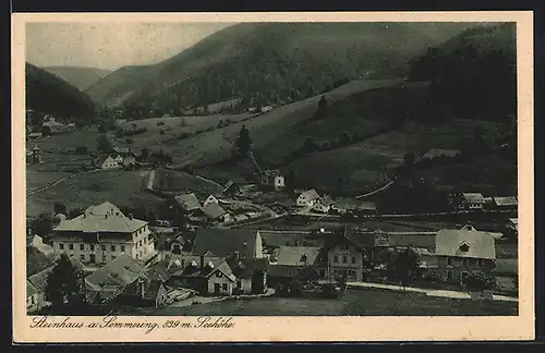 AK Steinhaus am Semmering, Ortspartie mit Bergen