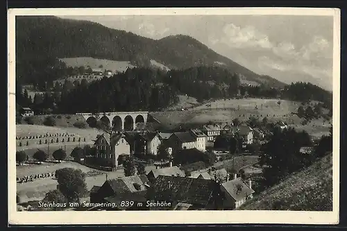 AK Steinhaus am Semmering, Ortspartie mit Bergen