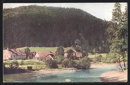 AK Frein an der Mürz, Teilansicht mit Waldgebiet