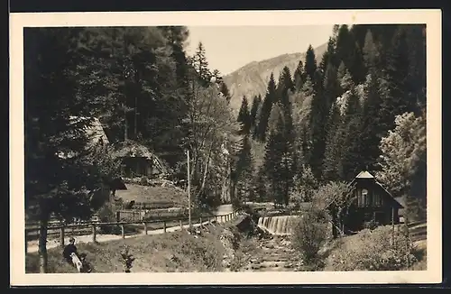 AK Neuberg /Mürzthal, Ortspartie mit Bergen