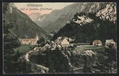 AK Wildalpen, Ortspanorama mit Gebirge