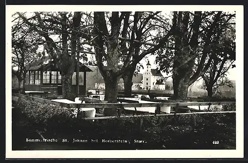 AK St. Johann bei Herberstein, Ortsansicht mit Kirche