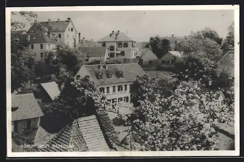 AK Radegund, Teilansicht mit Gasthof aus der Vogelschau