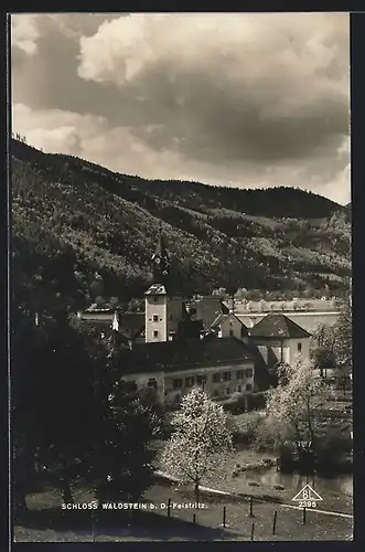 AK D.-Feistritz, Blick auf Schloss Waldstein