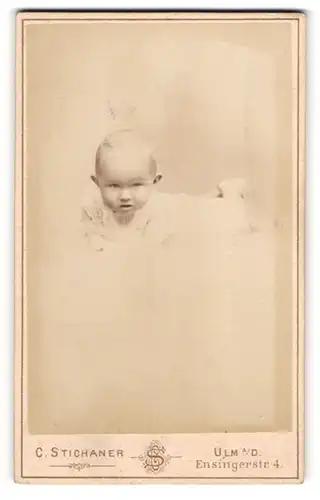 Fotografie C. Stichaner, Ulm a / D., Portrait niedliches Baby im weissen Hemd bäuchlings auf Tisch liegend